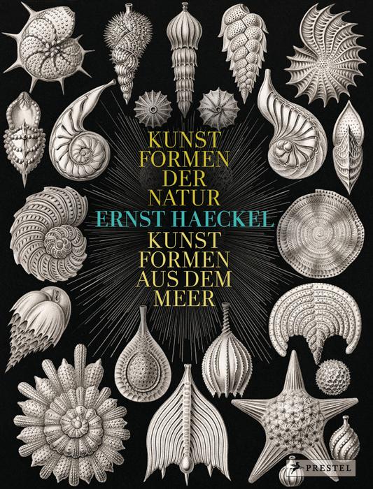 Prestel Verlag Ernst Haeckel - Bild 6