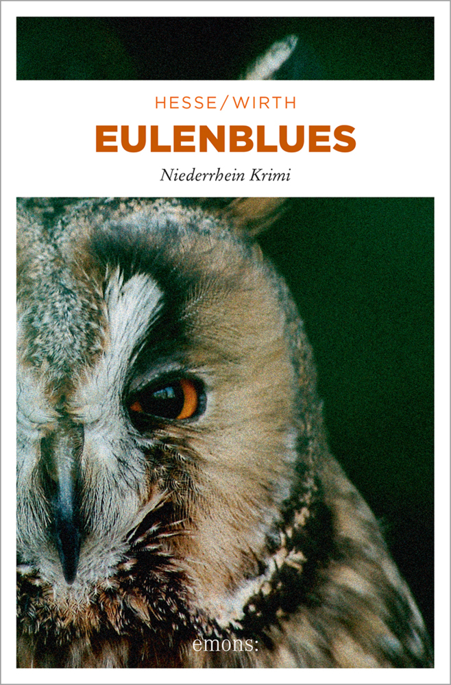 Emons Verlag Eulenblues - Bild 6