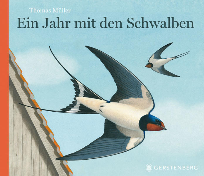 Ein Jahr mit den Schwalben - Bild 6