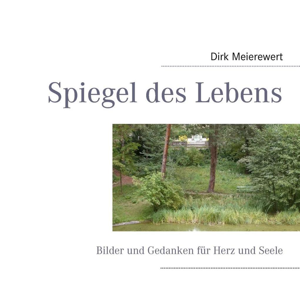 Spiegel des Lebens - Dirk Meierewert