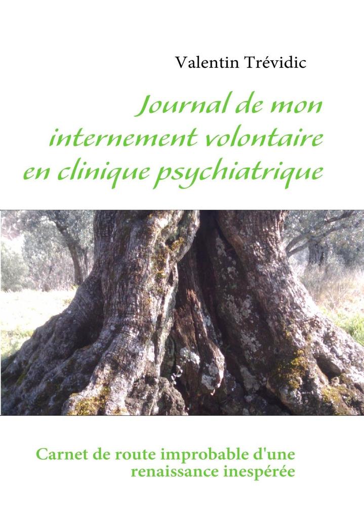 Journal de mon internement volontaire en clinique psychiatrique - Valentin Trévidic