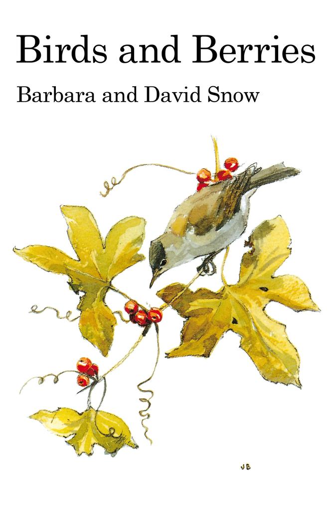 Birds and Berries - David Snow/ Barbara Snow