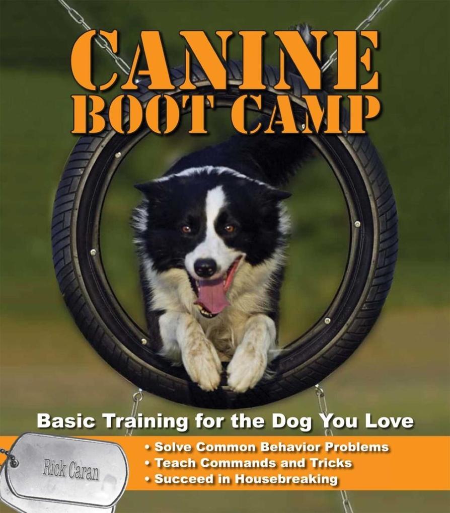 Canine Bootcamp