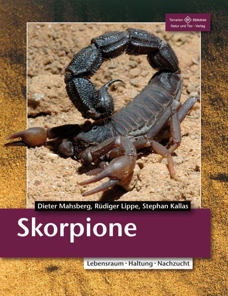 Ntv Natur Und Tier-Verlag Skorpione - Bild 4