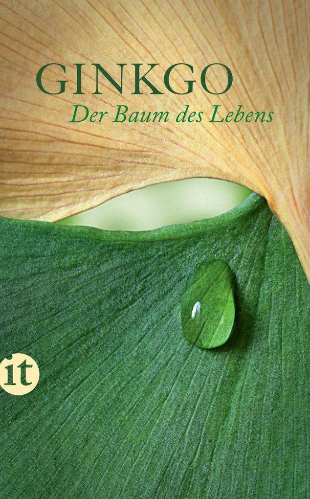 Ginkgo Felicitas Bovis - Bild 5