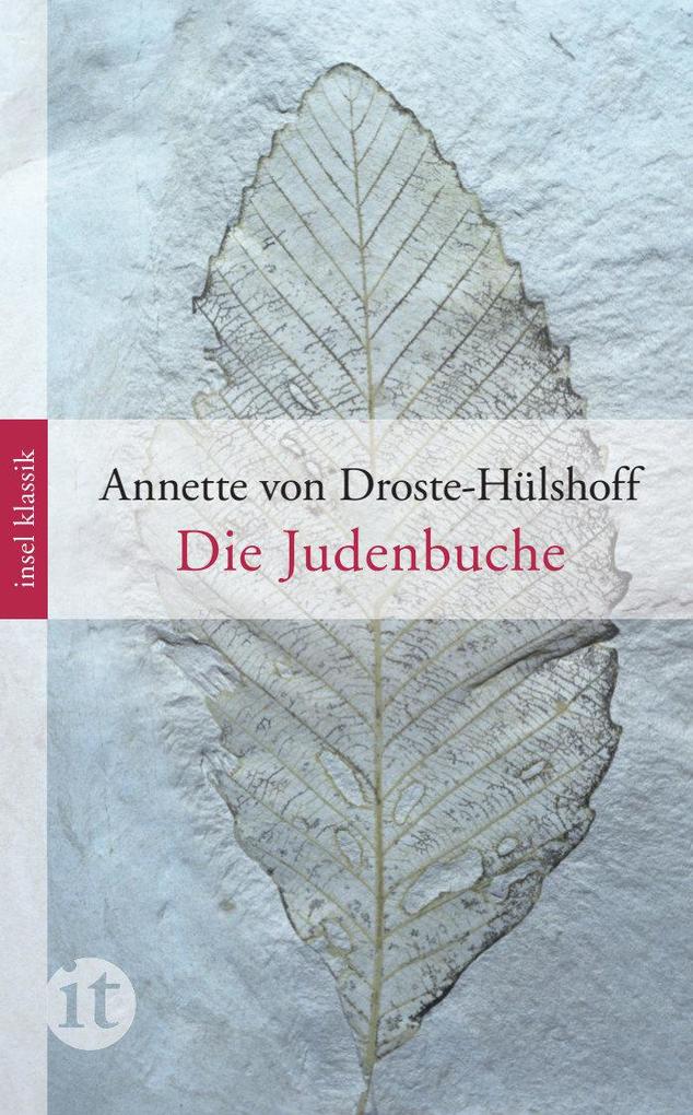 Annette von Droste-Hülshoff: Die Judenbuche - Taschenbuch - Bild 4