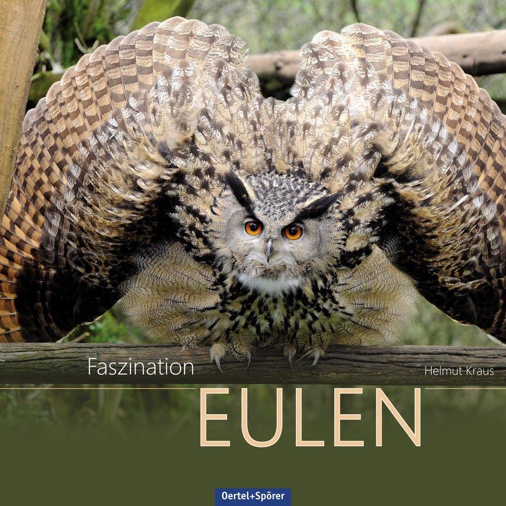 Oertel Und Spoerer Gmbh Faszination Eulen - Bild 6