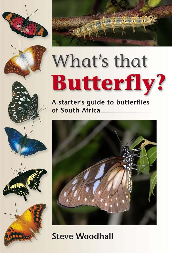 What's that Butterfly? - Steve Woodhall