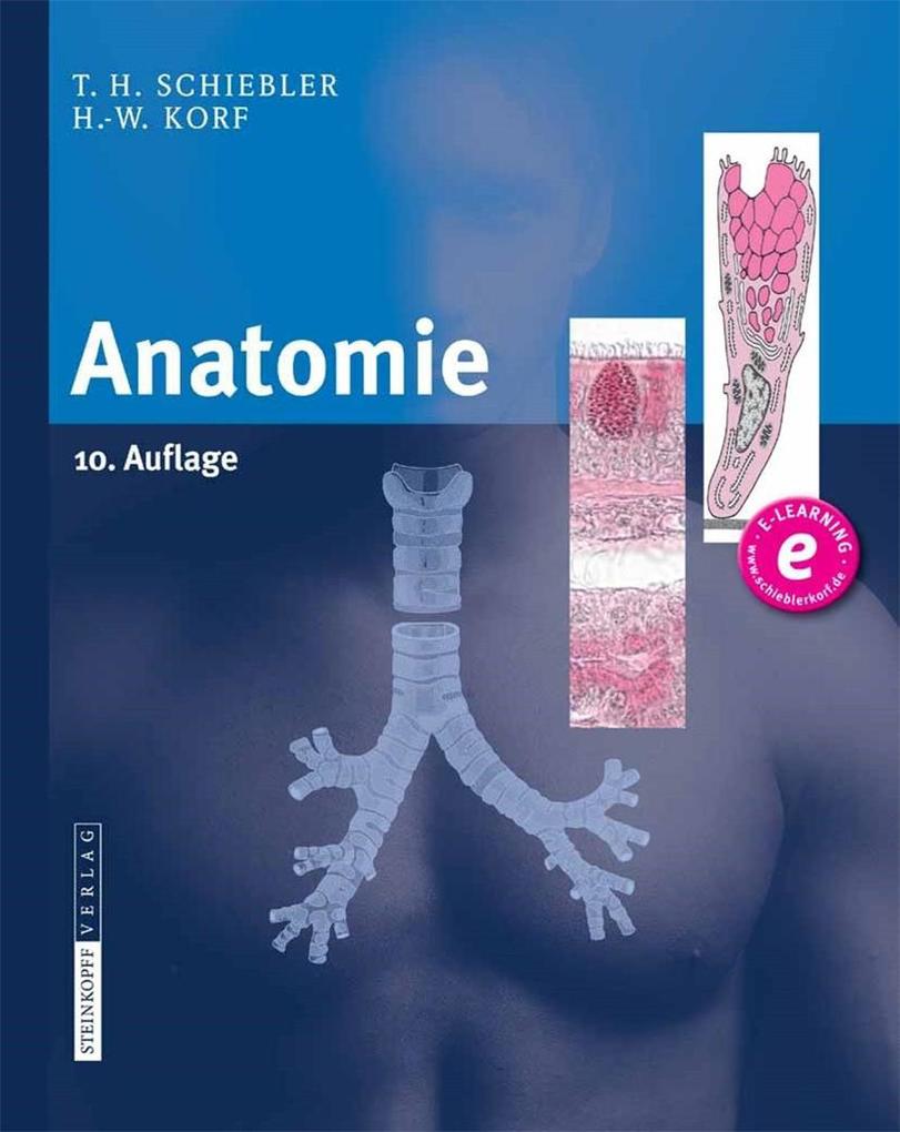 Anatomie - Theodor H. Schiebler/ Horst-W. Korf