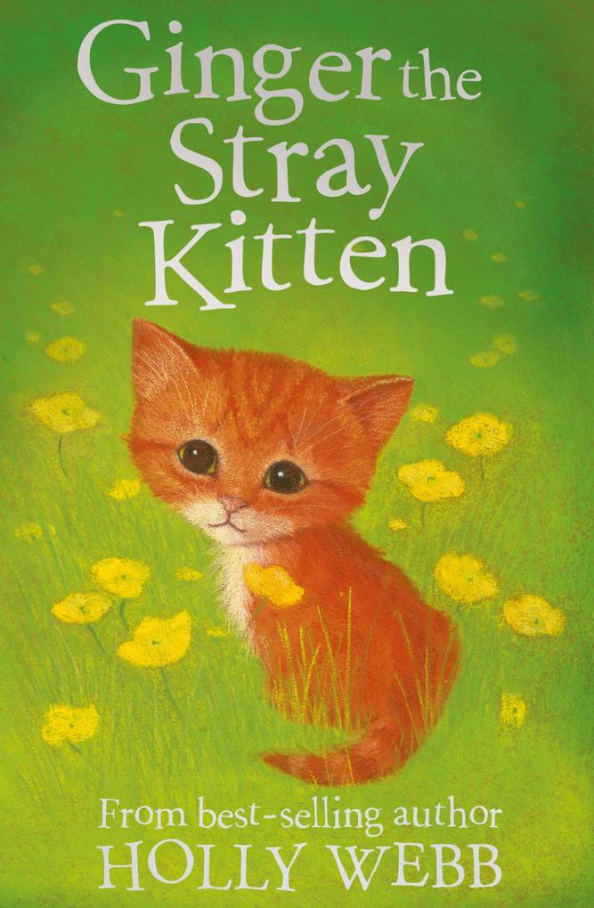 Ginger the Stray Kitten - Holly Webb