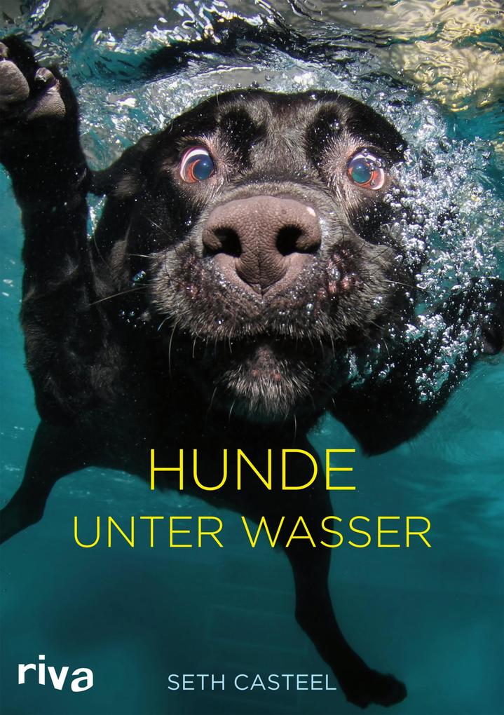 Hunde unter Wasser - Seth Casteel