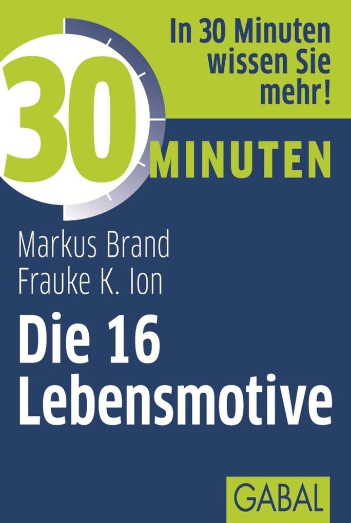 30 Minuten Die 16 Lebensmotive als eBook von Frauke Ion, Markus Brand - GABAL Verlag
