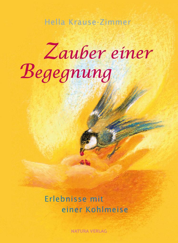 Zauber einer Begegnung: Erlebnisse mit einer Kohlmeise - Bild 4