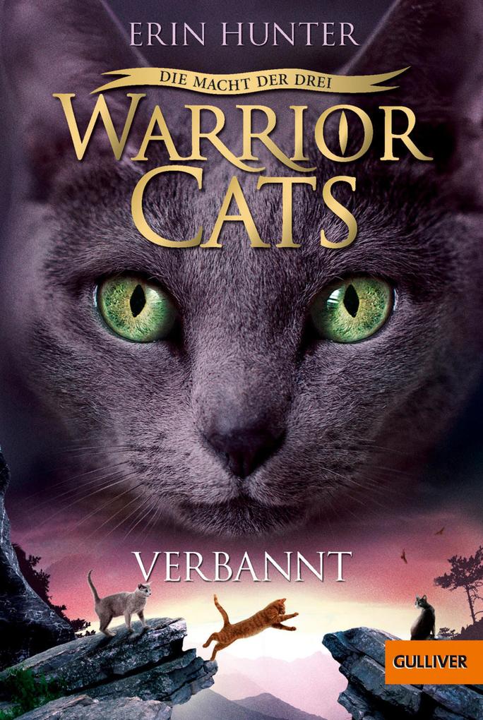 Warrior Cats 03 3 Die Macht Der Drei Verbannt Ebook