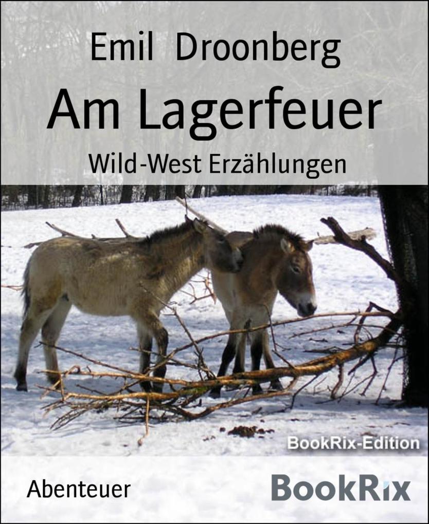Am Lagerfeuer - Emil Droonberg