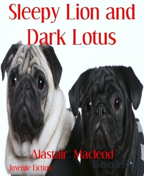 Sleepy Lion and Dark Lotus - Alastair Macleod