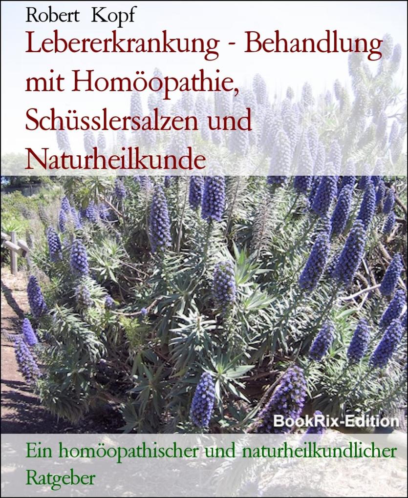 Lebererkrankung - Behandlung mit Homöopathie Schüsslersalzen und Naturheilkunde - Robert Kopf