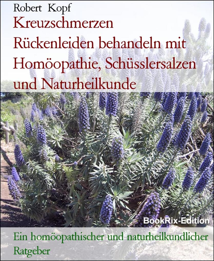 Kreuzschmerzen Rückenleiden behandeln mit Homöopathie Schüsslersalzen und Naturheilkunde - Robert Kopf