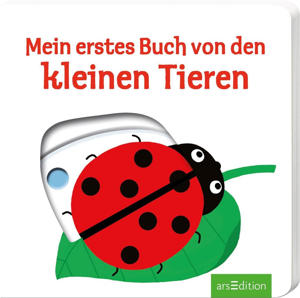 Ars Edition Mein Erstes Buch Von Den Kleinen Tieren - Bild 9
