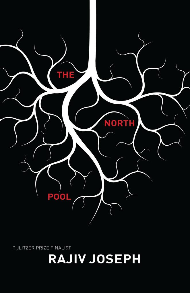 The North Pool - Rajiv Joseph