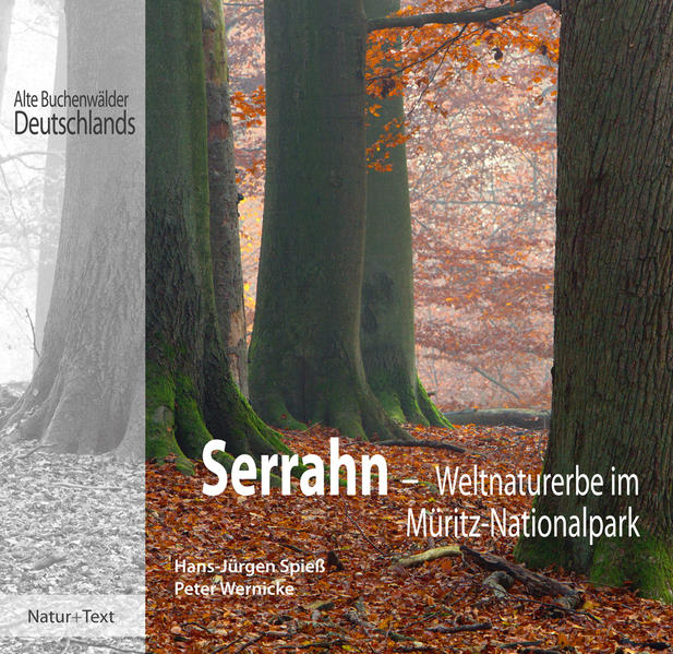 Natur & Text Serrahn - Bild 5