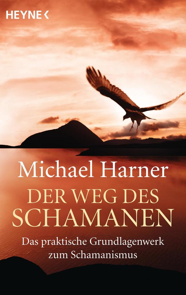 Heyne Taschenbuch Der Weg Des Schamanen - Bild 5