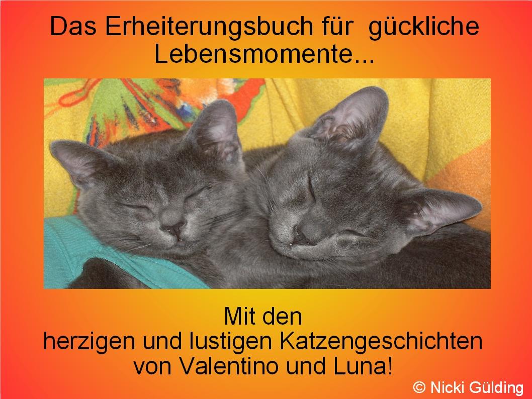 Das Erheiterungsbuch für glückliche Lebensmomente - Nicki Gülding