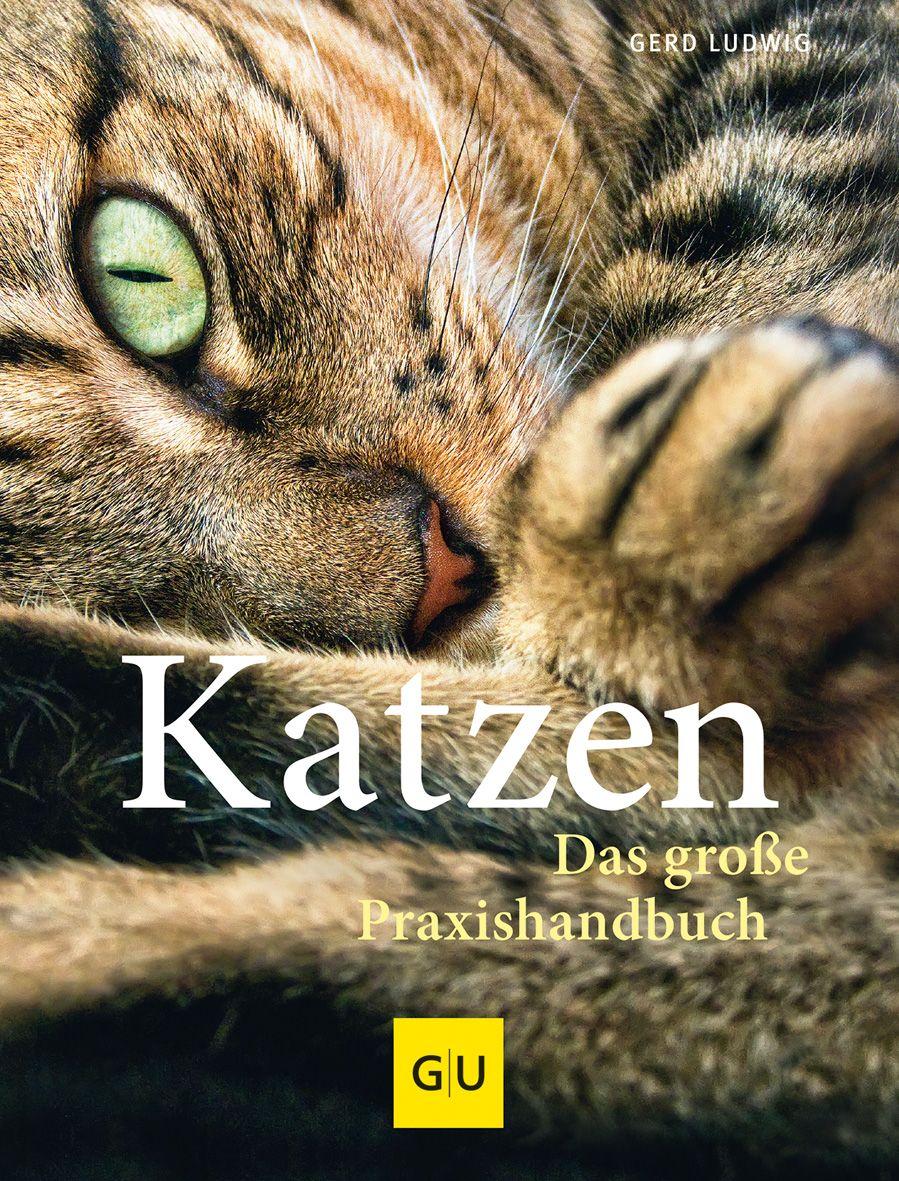 Katzen. Das große Praxishandbuch Gerd Ludwig - Bild 4