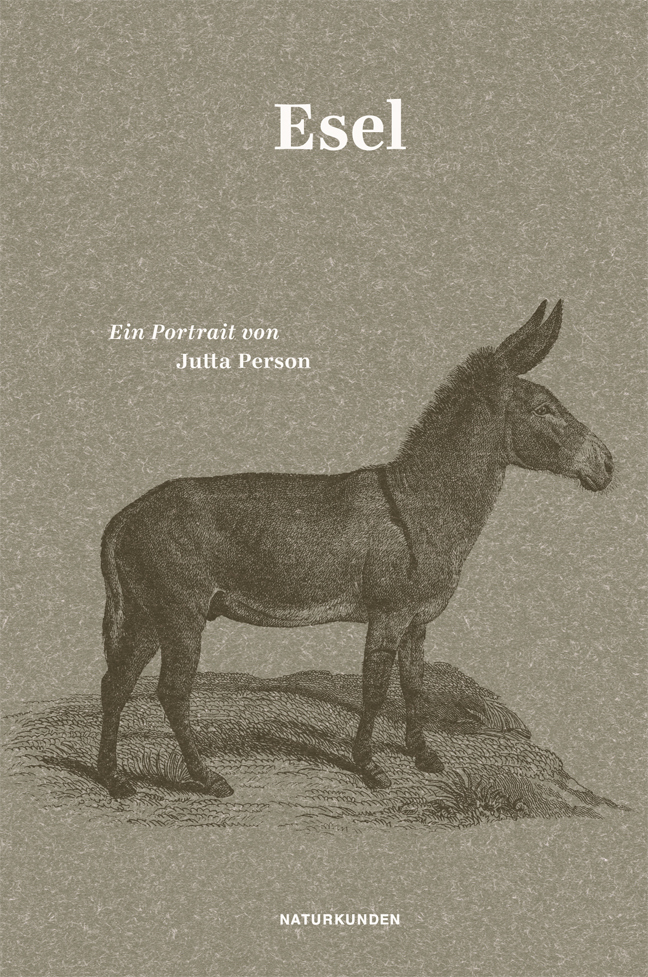 Jutta Person: Esel,Esel - gebunden - Bild 7