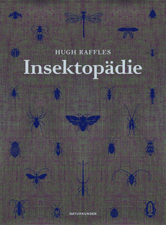 Insektopädie (Naturkunden) - Bild 5