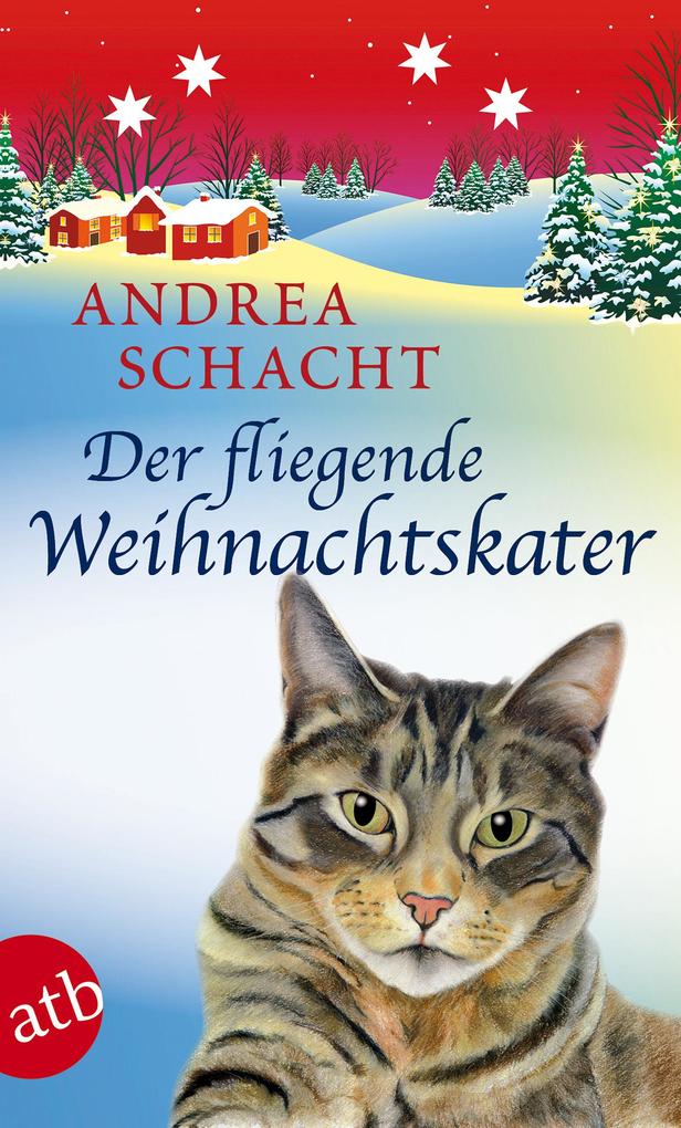 Der fliegende Weihnachtskater Andrea Schacht - Bild 4