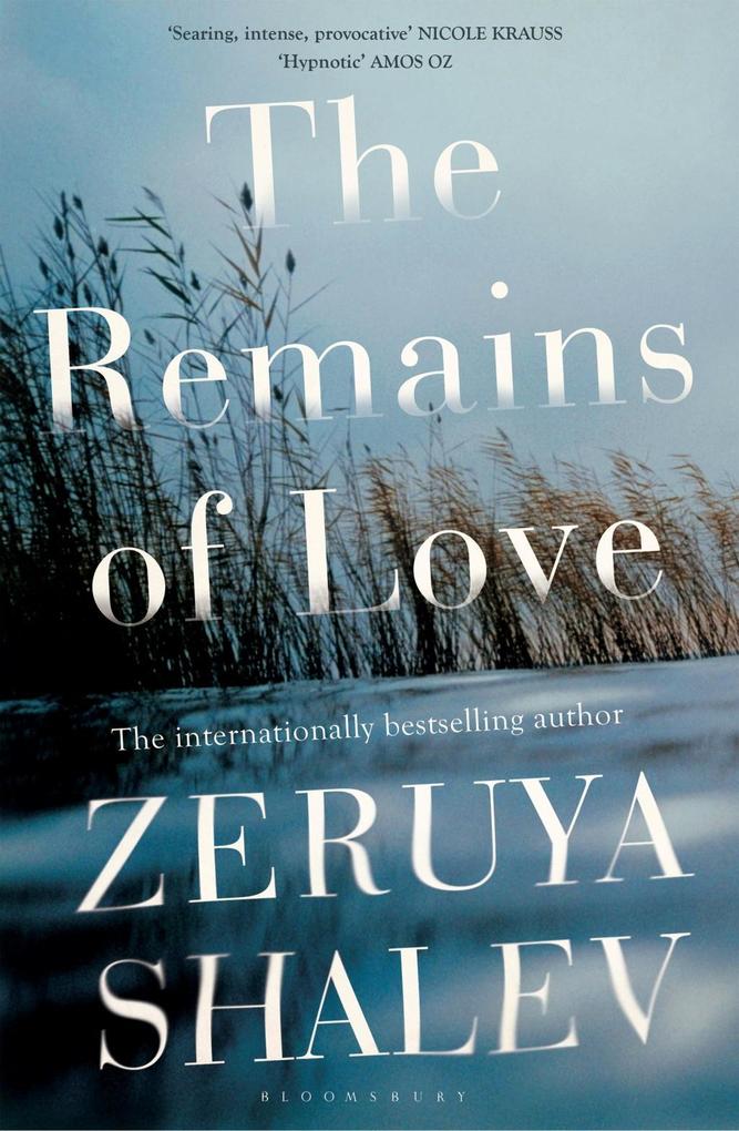The Remains of Love - Zeruya Shalev