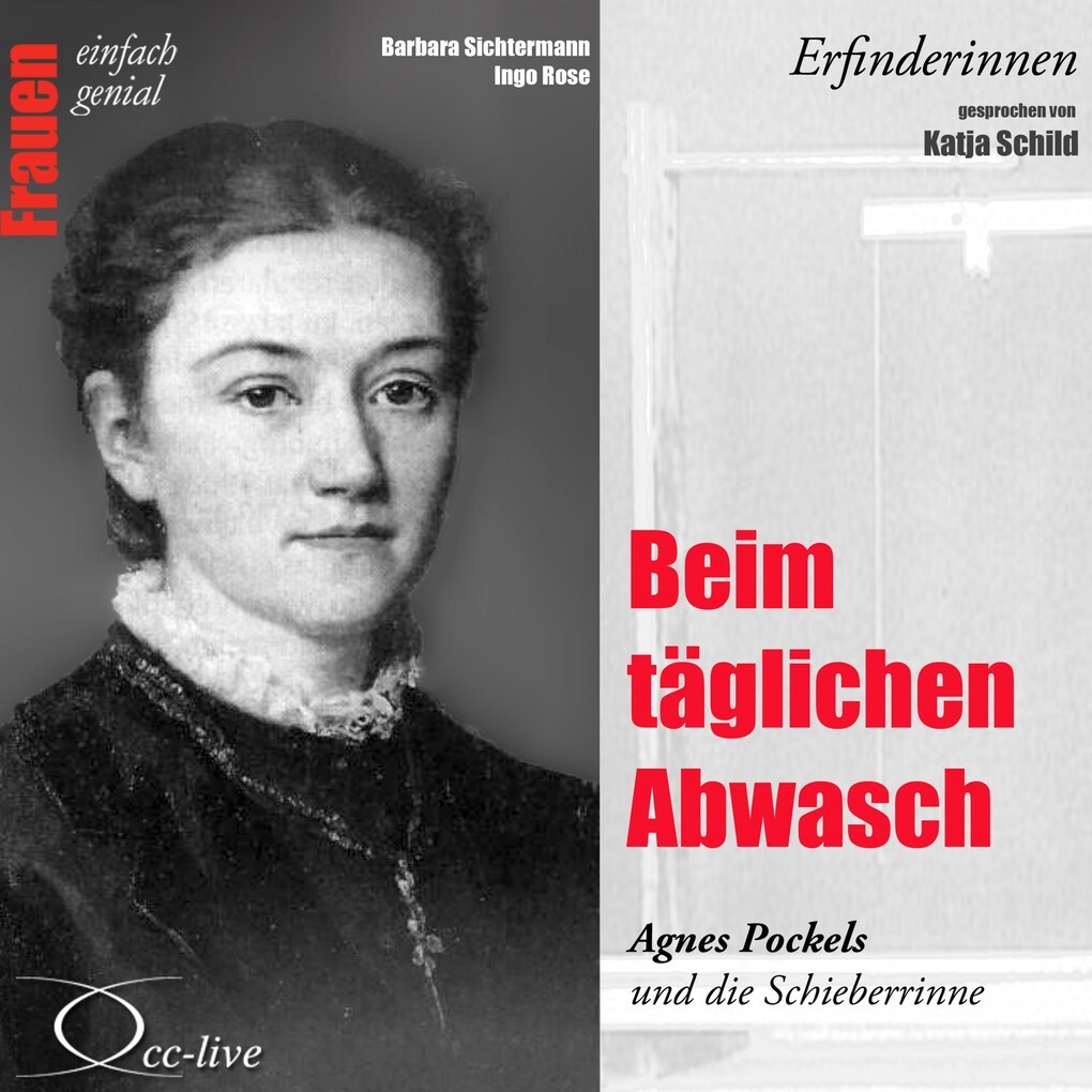 Beim täglichen Abwasch - Agnes Pockels und die Schieberrinne - Barbara Sichtermann/ Ingo Rose