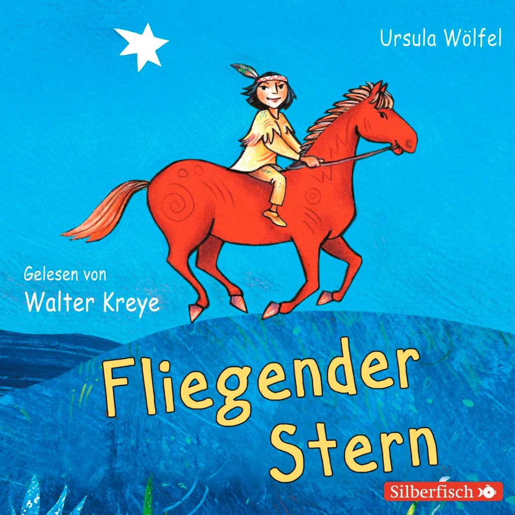 Fliegender Stern - Ursula Wölfel