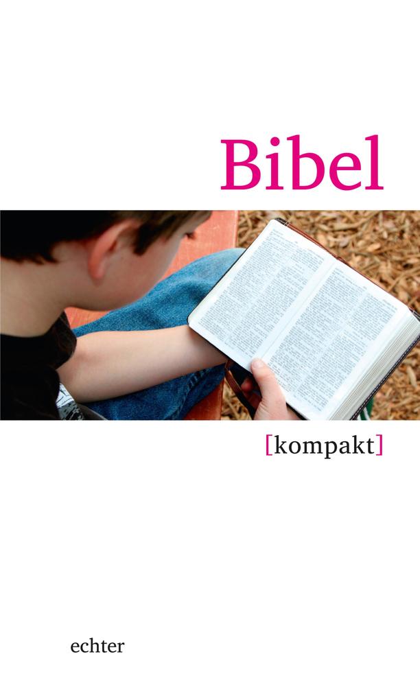 Bibel kompakt - Dorothee Boss