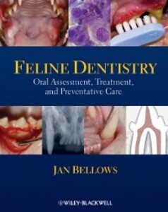 Feline Dentistry als eBook von Jan Bellows - Wiley