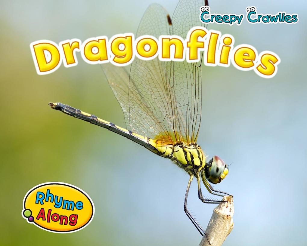 Dragonflies als eBook von Rebecca Rissman - Raintree UK