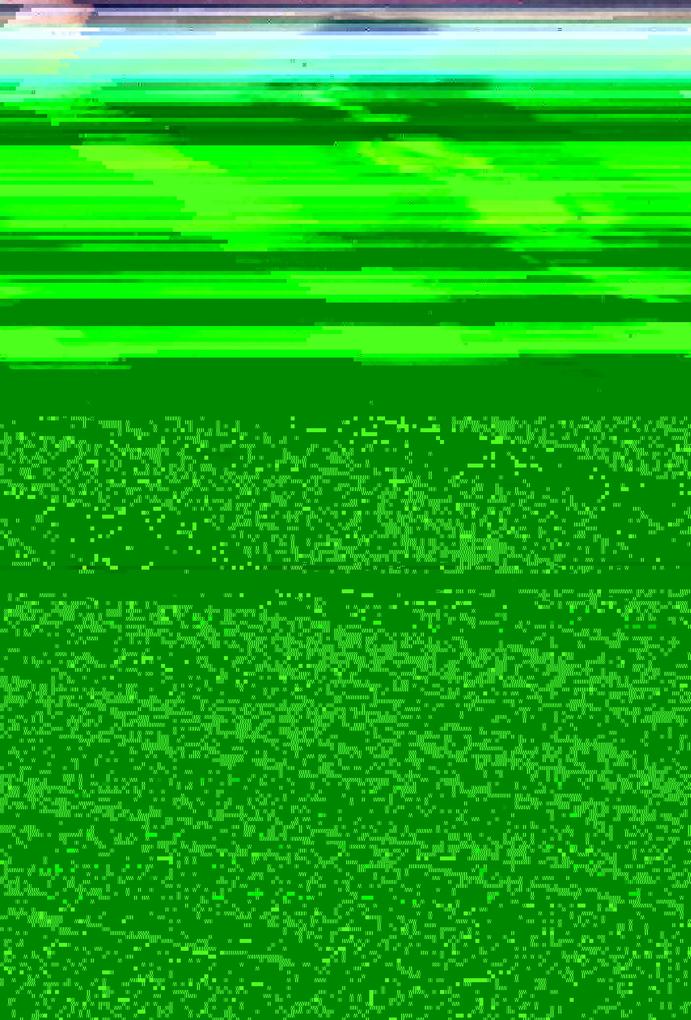 Bookbaby Mr Darcy Likes It Wild