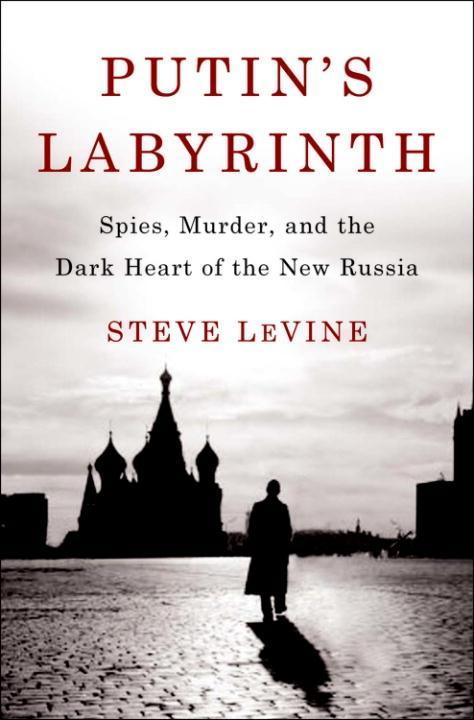 Putin's Labyrinth - Steve Levine