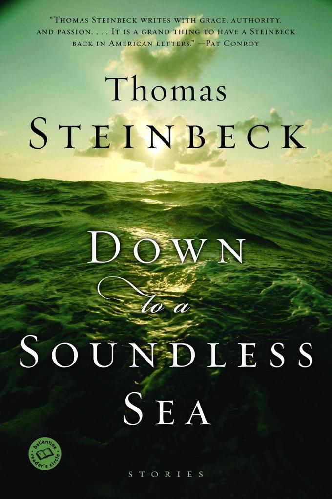 Down to a Soundless Sea - Thomas Steinbeck