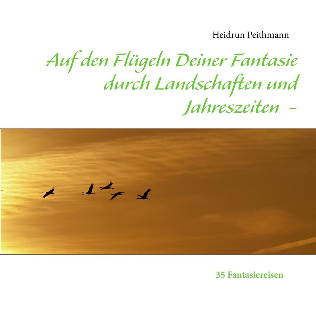 Auf den Flügeln Deiner Fantasie durch Landschaften und Jahreszeiten - Heidrun Peithmann