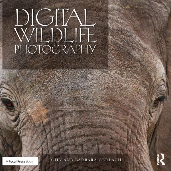 Digital Wildlife Photography - John and Barbara Gerlach