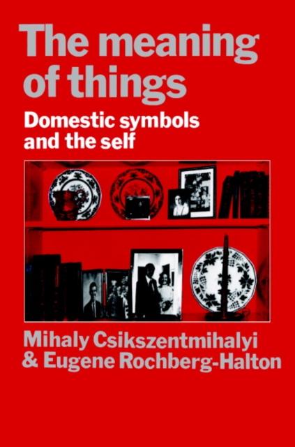 Meaning of Things - Mihaly Csikszentmihalyi