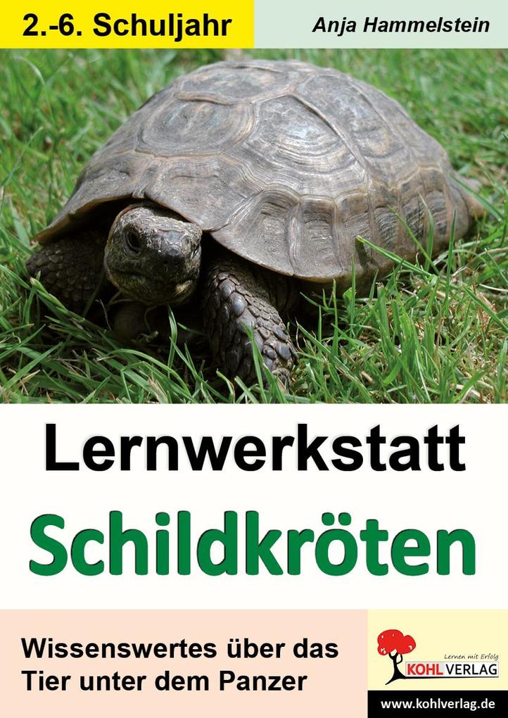 Lernwerkstatt Schildkröten - Anja Hammelstein