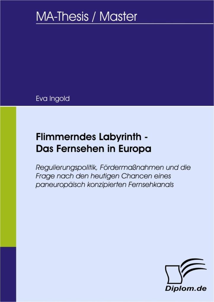 Flimmerndes Labyrinth - Das Fernsehen in Europa - Eva Ingold