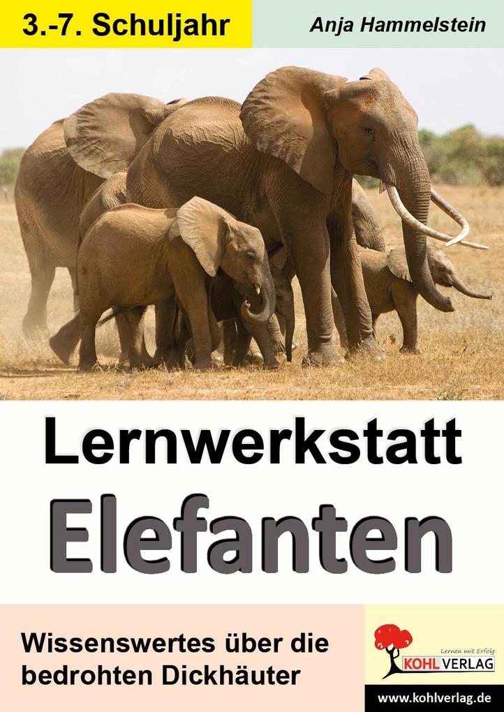 Lernwerkstatt Elefanten - Anja Hammelstein