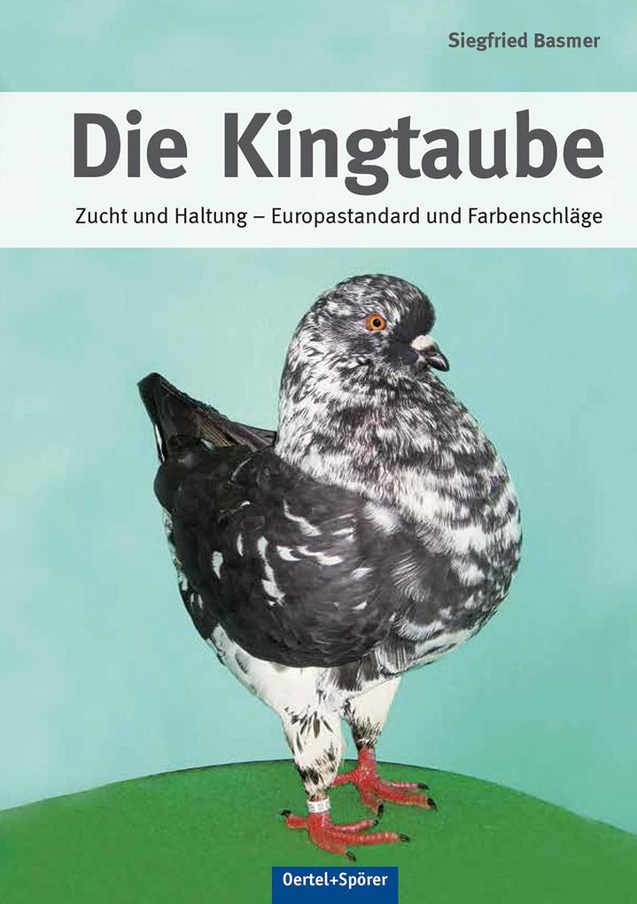 Die Kingtaube Siegfried Basmer - Bild 4
