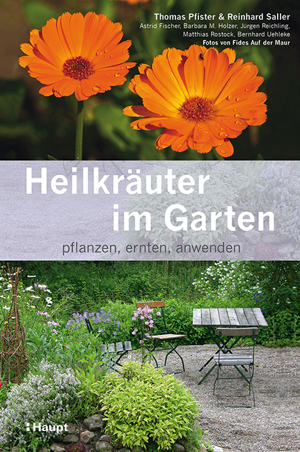 Heilkräuter im Garten: pflanzen, ernten, anwenden - Bild 5