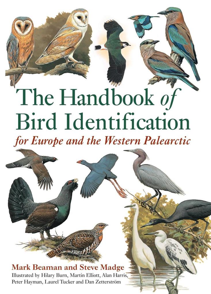 The Handbook of Bird Identification - Mark Beaman/ Steve Madge