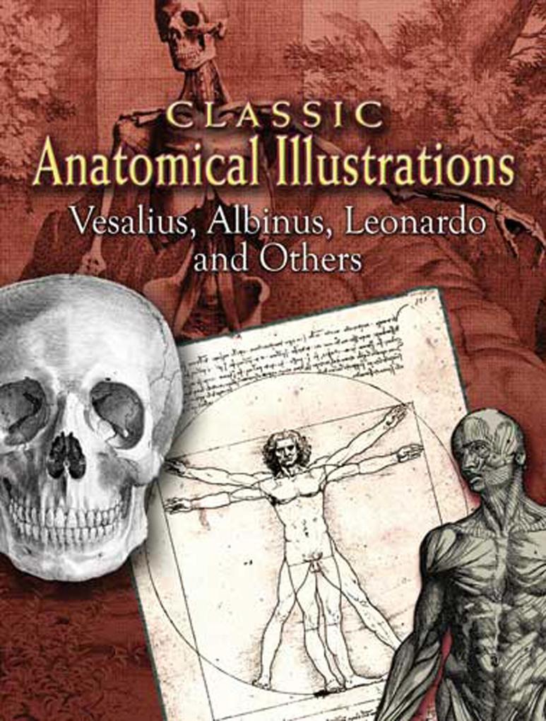Classic Anatomical Illustrations - Vesalius/ Albinus/ Leonardo